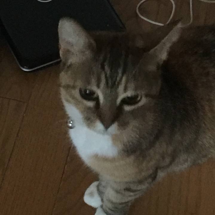 F1468243 6867 4b50 99b3 43eb6017234e 1549255213656