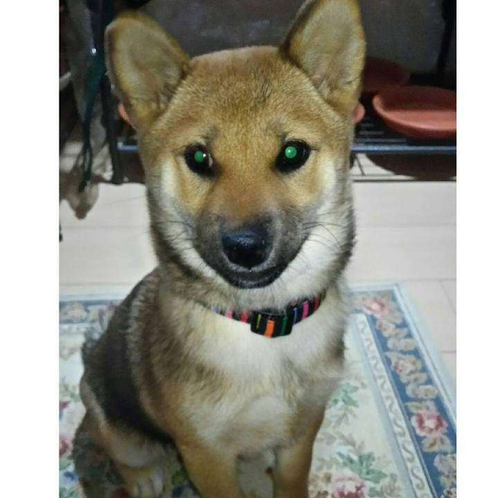 F146ab33 4504 4128 b8bd d932e9825738 1574239499248