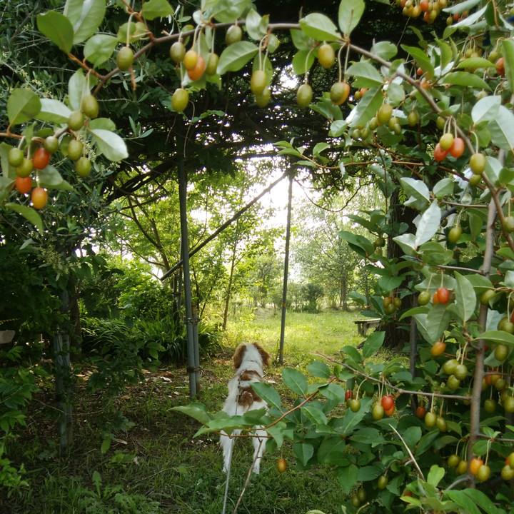 F146af25 1ef9 4e4e a903 aa35af5ec293 1527292929451