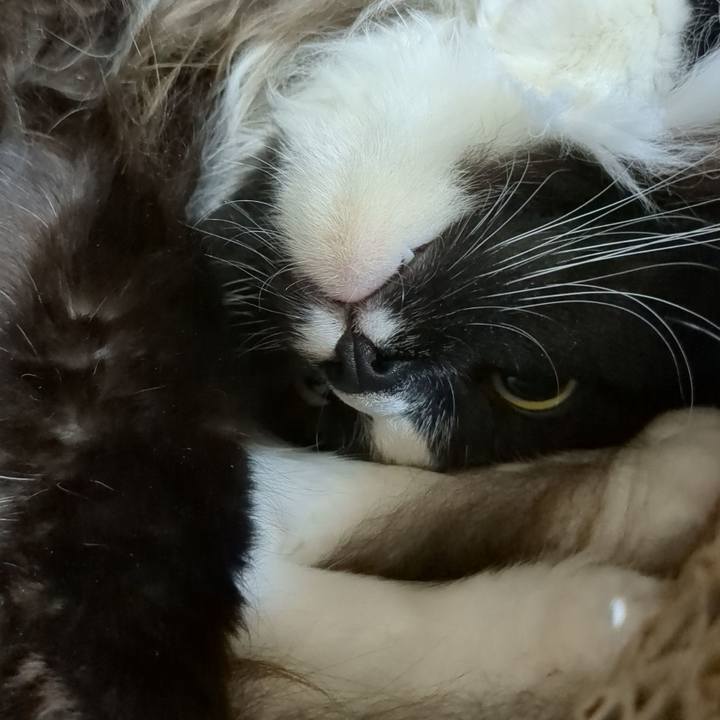 F146bbb0 841e 462c 9301 507eb19e9a44 1669896098221