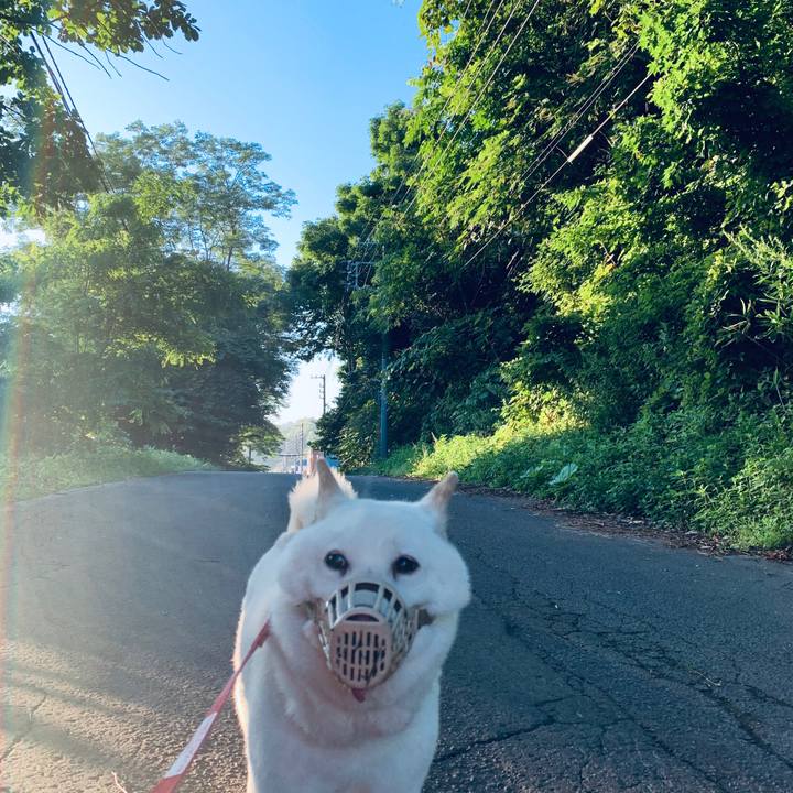 F146bd74 cfdc 49f5 b917 b23059b052a6 1596920441208