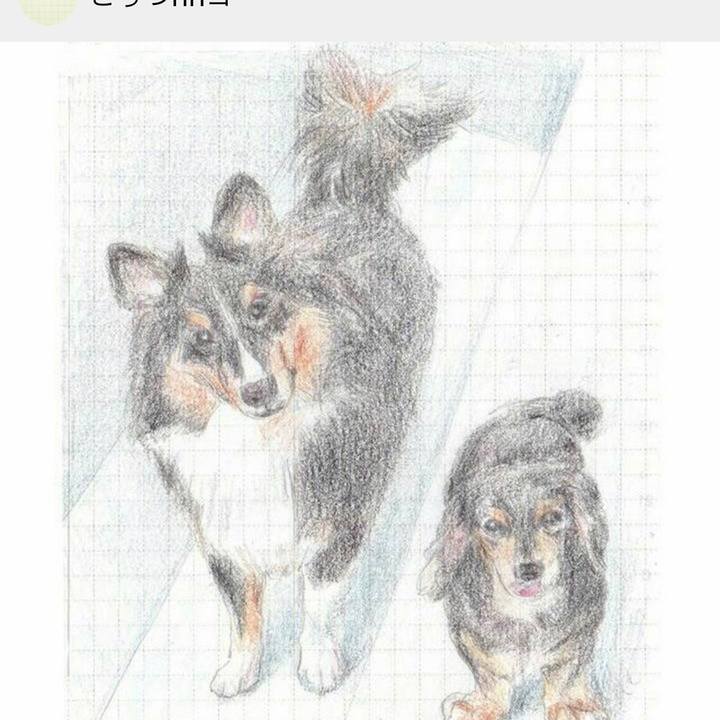 F146f444 cde4 4a8a 9342 9c33eb88e2e2 1620294701073