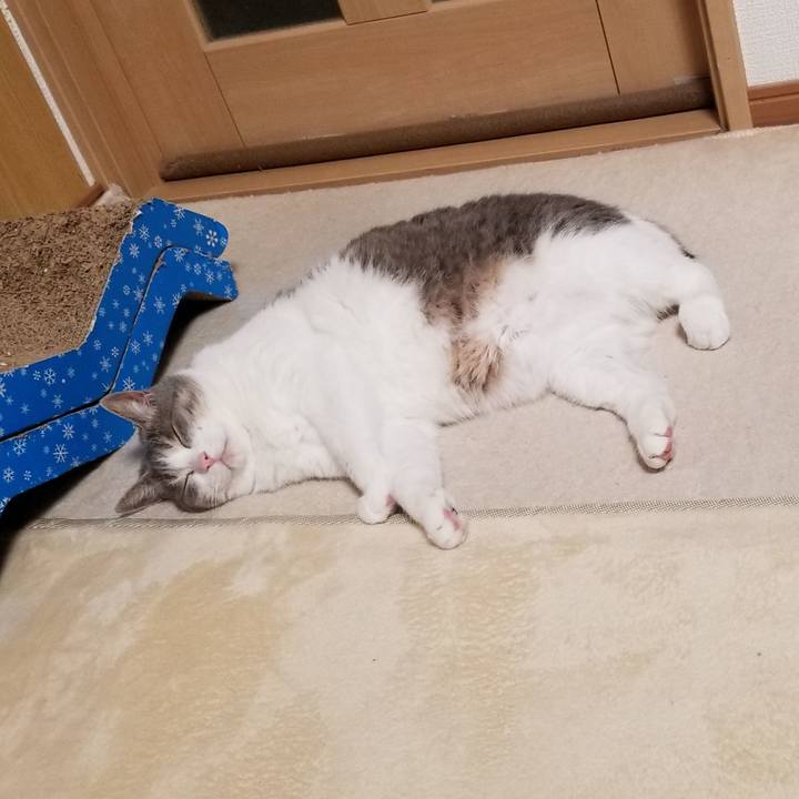 F146fe53 d48a 4674 8883 081cb7717cca 1686576712885