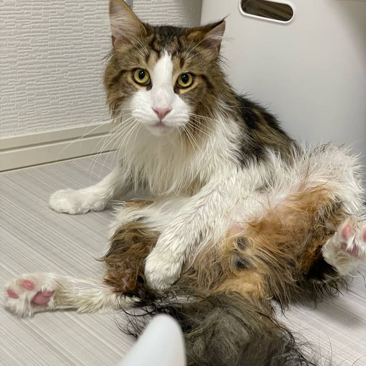 F14711d5 0db3 4bbc a6fc 8462382e65e1 1655118503674