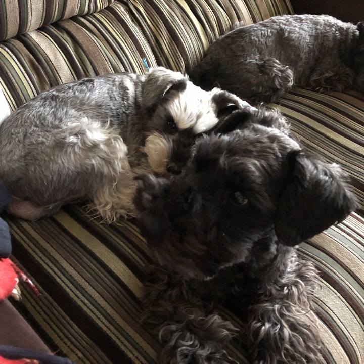 F1472c24 2495 402e b044 61e6c2d84ef9 1585955908466