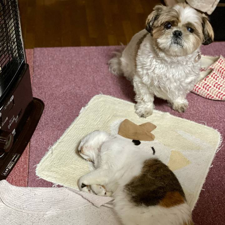 F147318b fcce 4774 b0eb 772aabf07edc 1634981981842