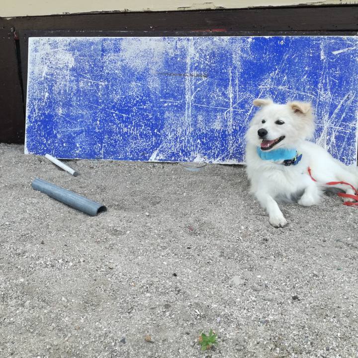 F147395e 1c67 41b0 b5d5 31f5ce10c35f 1532340852625