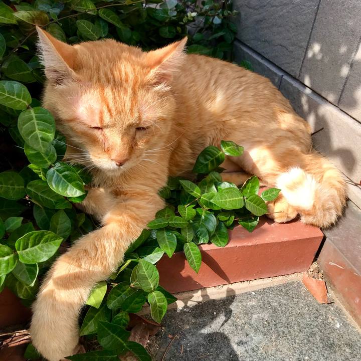 F14742d0 8c13 4acb b184 bff307b7b1d8 1615357230562