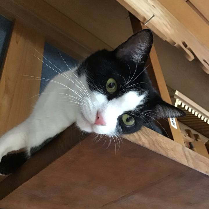 F147728b 8aa8 4bd4 9bee 30c08de47823 1725782492629