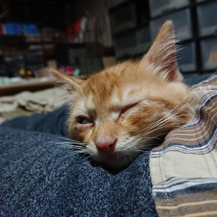 F14778b6 b077 4495 a1a7 be2b2a52dc70 1629203607090