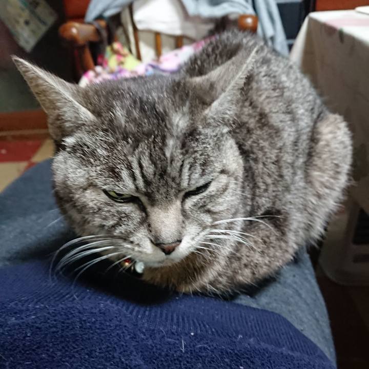 F1479ea4 bc71 4cf8 91c5 7e957b1458c8 1555324027913