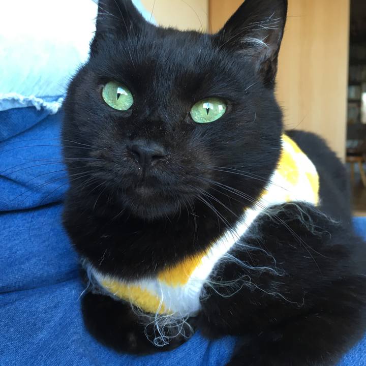 F147cf5a b89d 4fde a785 e85523a371c4 1541291826663