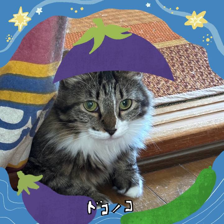 F147ecfc 314e 4046 8546 2b1365511272 1755153555987