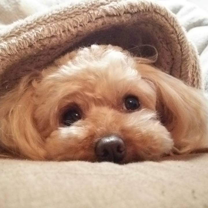 F147f668 915f 4740 8f07 1dbcbc2341f9 1522671559405