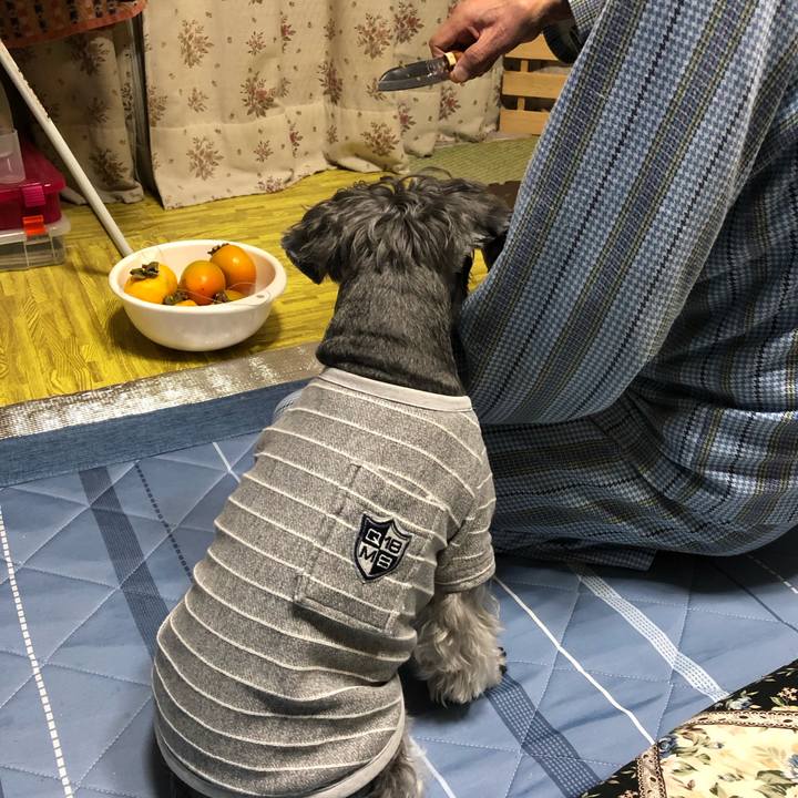 F147fc96 dd8c 41b6 92b6 2d8b4d5f1193 1667389804129