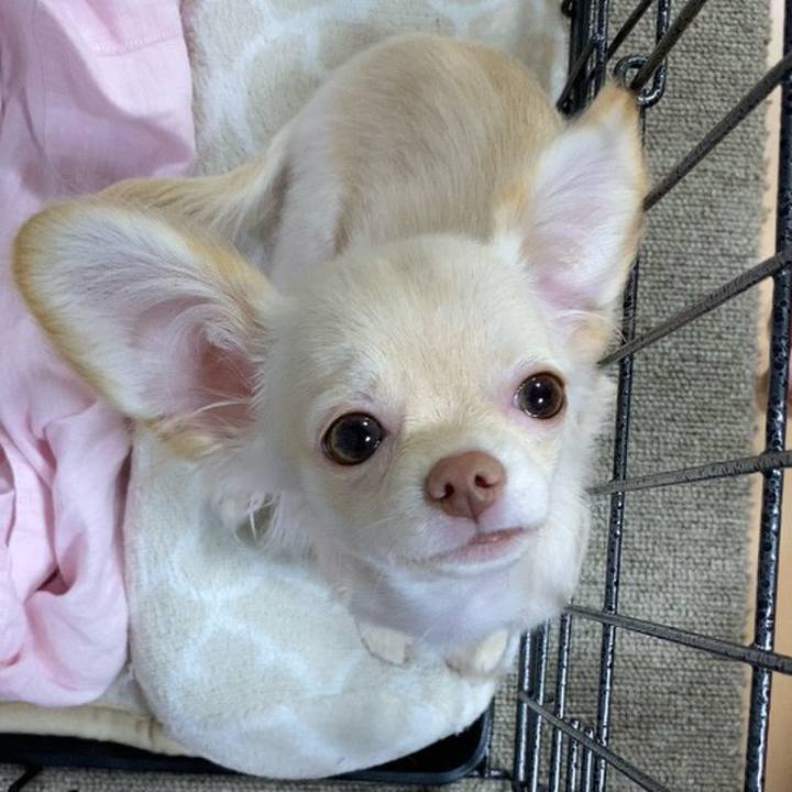 F148145e bfc2 430d 8a21 5b487c767f74 1592350842797