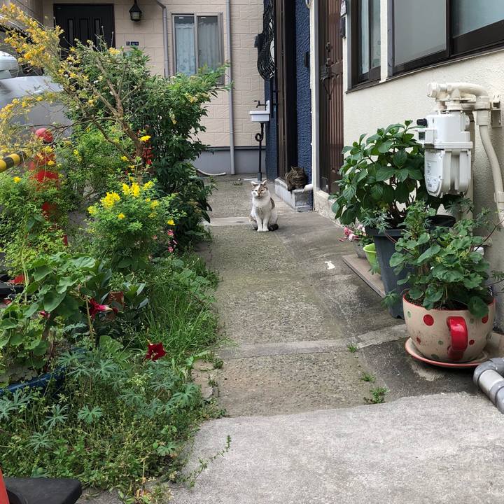 F1486b6c 86f6 4d63 a4c7 e127dbc240ba 1525315504923