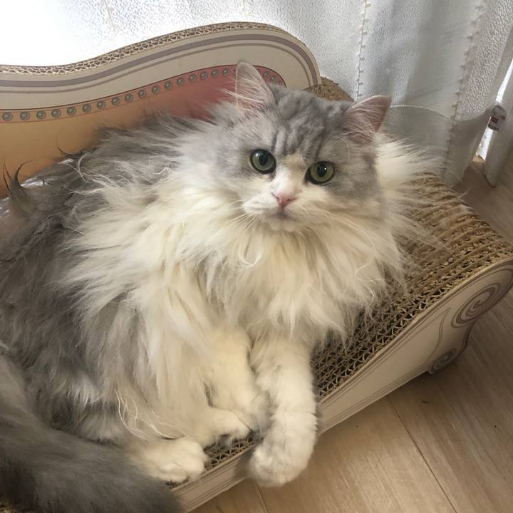 F148c71d d040 4b28 94c4 a8d19b14e6ff 1631844954242