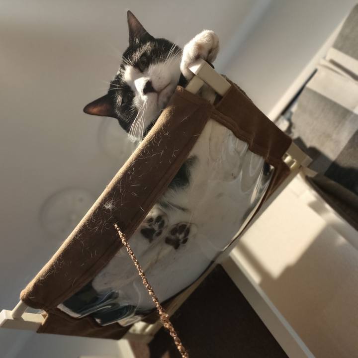 F148c837 eea7 481f b44a c7c1f0d6e3ae 1759206637283