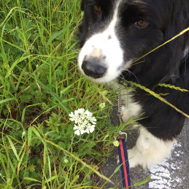 F148dfd8 7a5b 4f2d be27 b55094c04bed 1589239936673