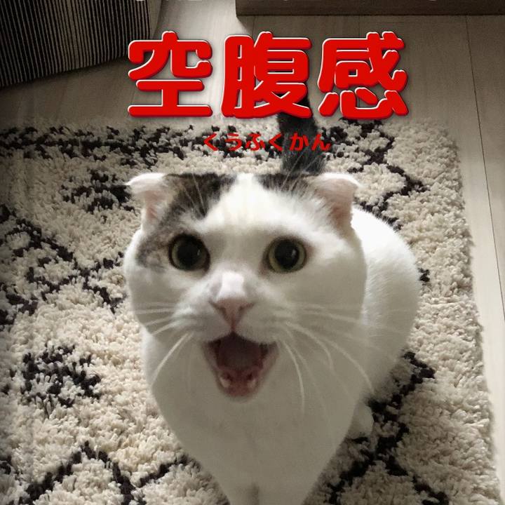 F148f41a 83c1 43ae 9daa 0be4aee78138 1578151908111