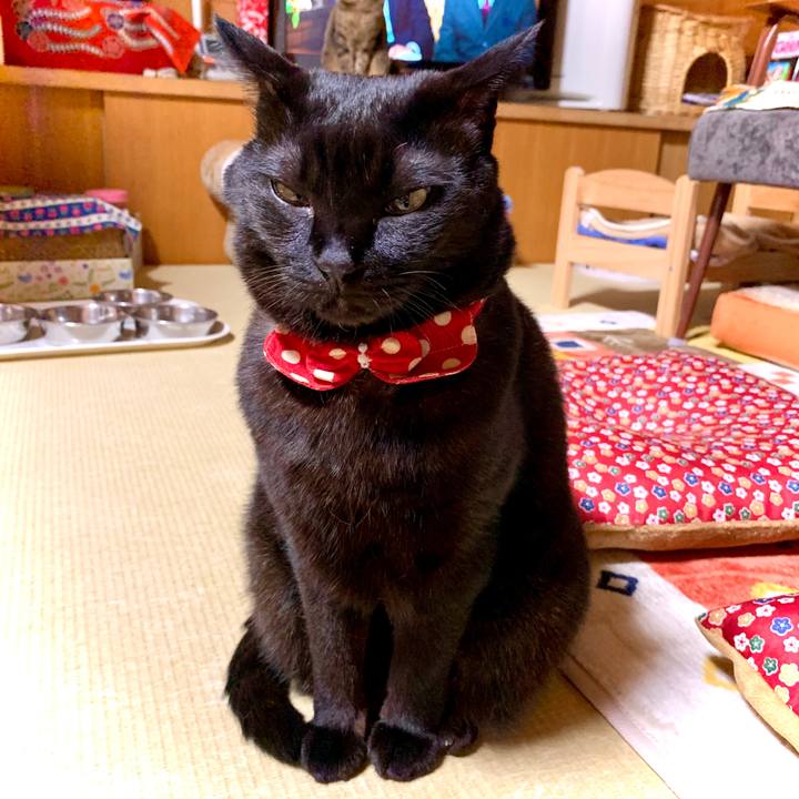 F14919be 539b 412d 83d2 d0645ef093ac 1575463117572