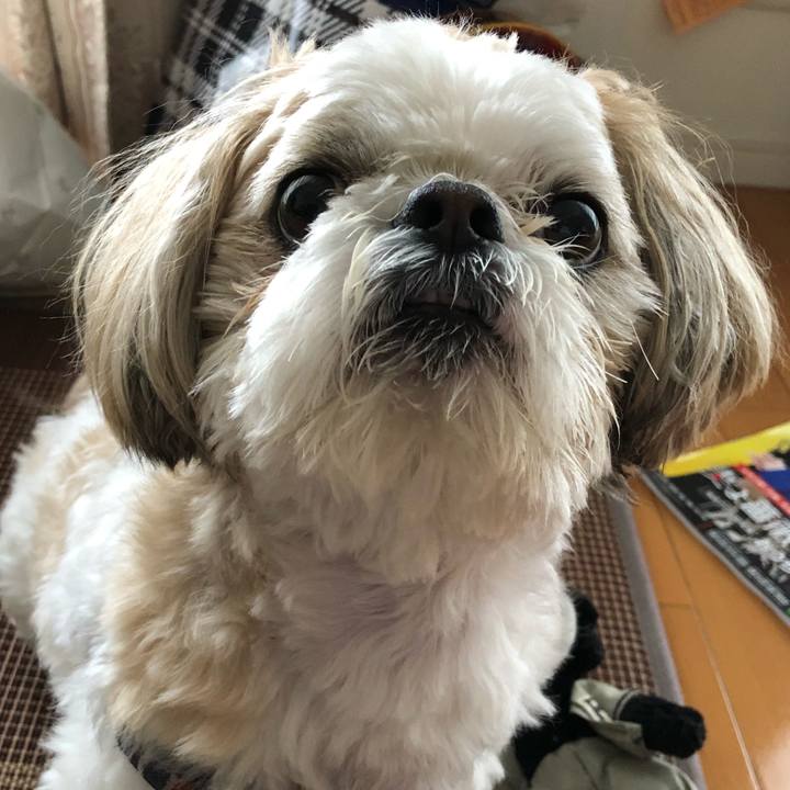 F14929aa 3e5e 49b9 b7d8 b8238d7551a0 1526769444600