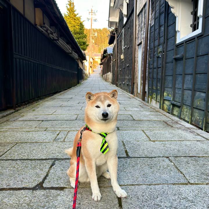 F14999be efcc 418b 9cd2 7510ab6b372f 1744542640482