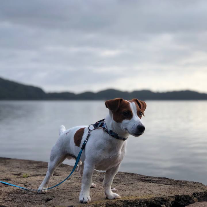 F149d750 4750 4cec 8fdc f4b09bec62ee 1560735007457