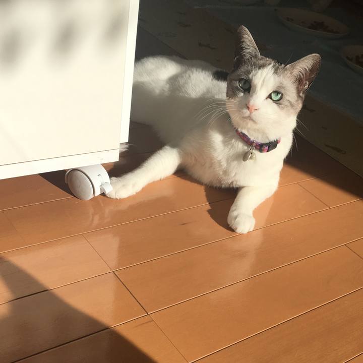 F149d7ad 4392 4c47 8514 73d3d1bbce0c 1511223575188