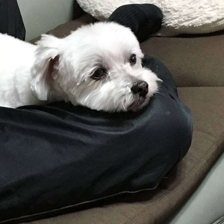 F14a3778 4959 4d16 b816 caae67a933cf 1553344283843