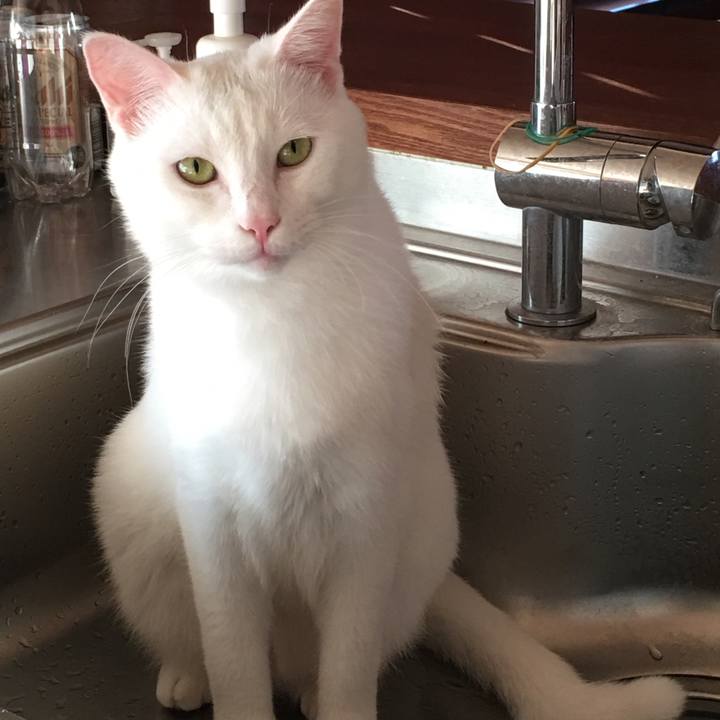 F14a3ead 2cd5 476d a9f4 658c304c1dde 1541285659352