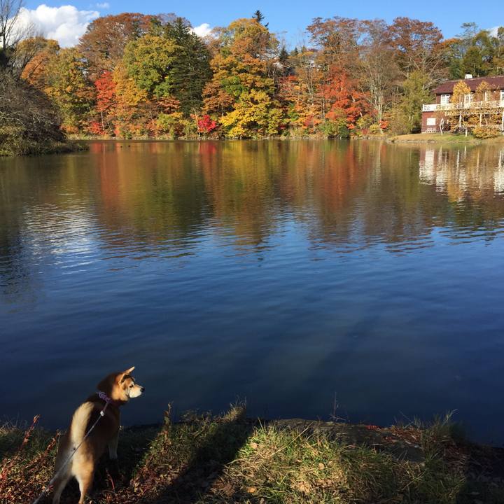 F14af4ec 0323 4650 ba60 132107c8b41f 1540939820310