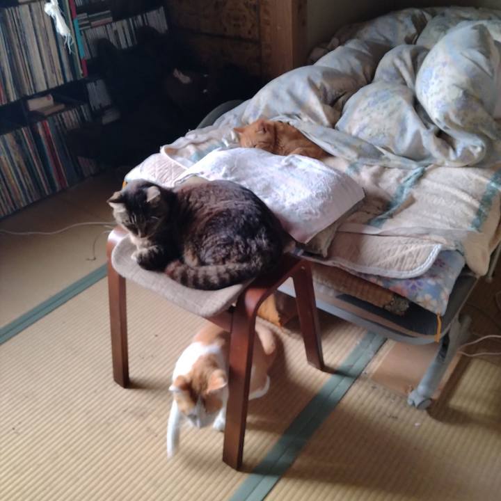 F14b2cd2 af10 4256 8c15 801196d980ae 1749683589987