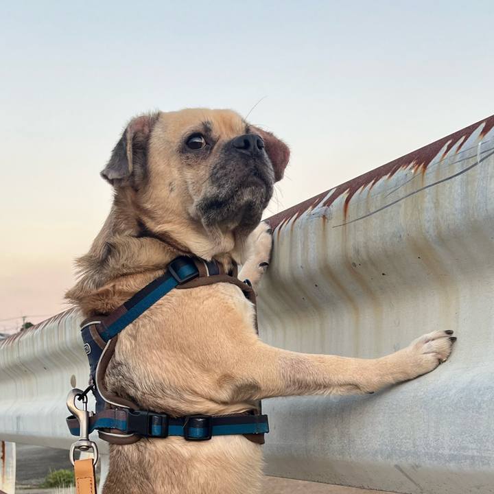 F14b39ae e519 40c2 aafb 9a15b65d8f95 1761554989551