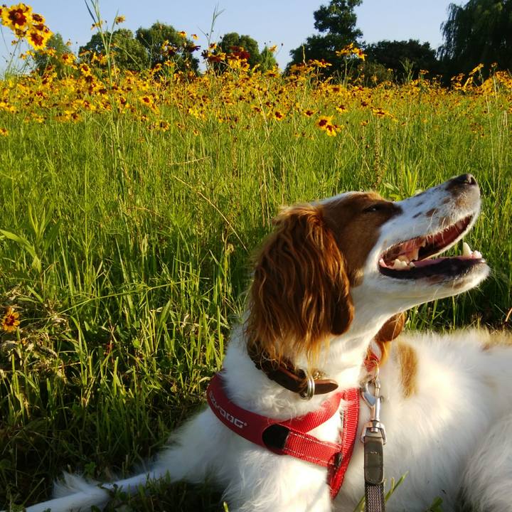 F14b3b46 a485 4aa9 9789 9001db4c7187 1530452814823