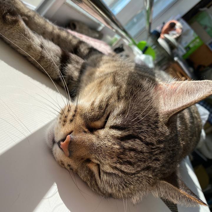 F14b5e51 ee27 4127 9b72 04626b8388e3 1665552129163