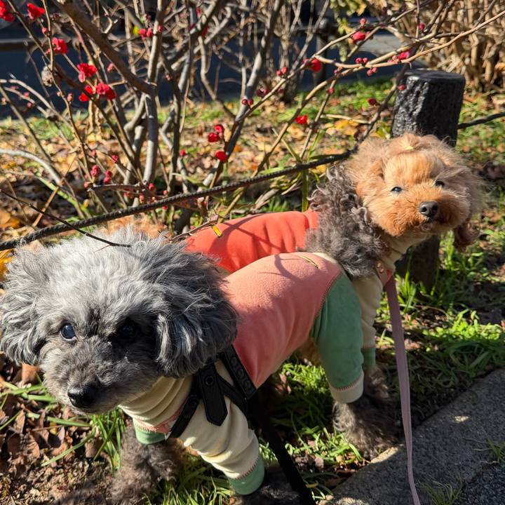 F14b6ede ff47 4f67 b6e4 a413be5776f3 1768350117101