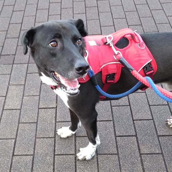 F14bc8d2 12d0 4b4c 8902 a7510d146ef7 1602980086227