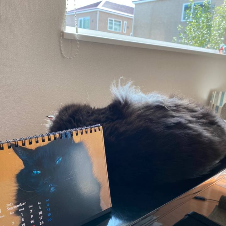 F14bd47b 90d3 4e58 bb33 2ea8e346a8e8 1630461766286