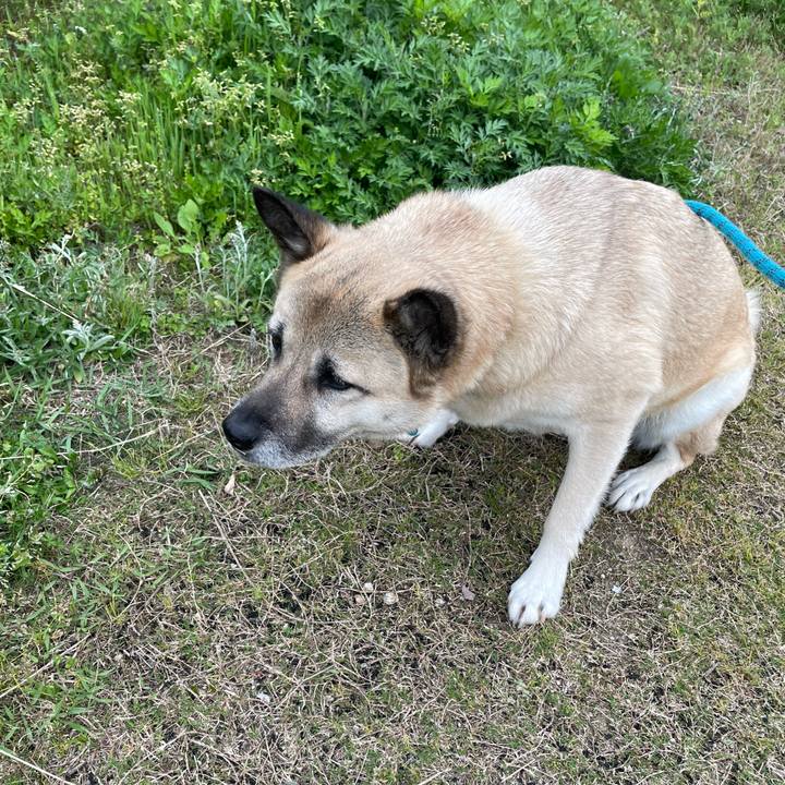 F14c19ee 2376 4f1c bf59 91378aed1f29 1681472649124