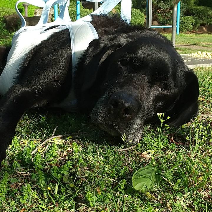 F14c380a d10b 45a0 a324 a73d9414b425 1713520493434