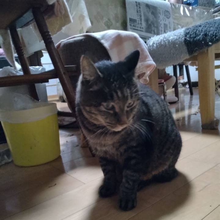 F14c766a f3f1 44c0 9d4c e6f376642371 1666994051788