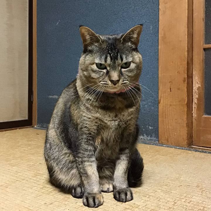 F14c97ee 5736 42e1 9f63 9d209b67d373 1744721812399