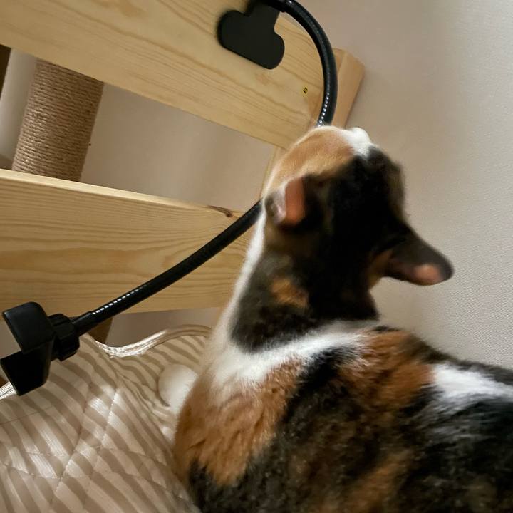 F14ca040 ff81 42f1 b2d8 c896d900fc9a 1661077400135