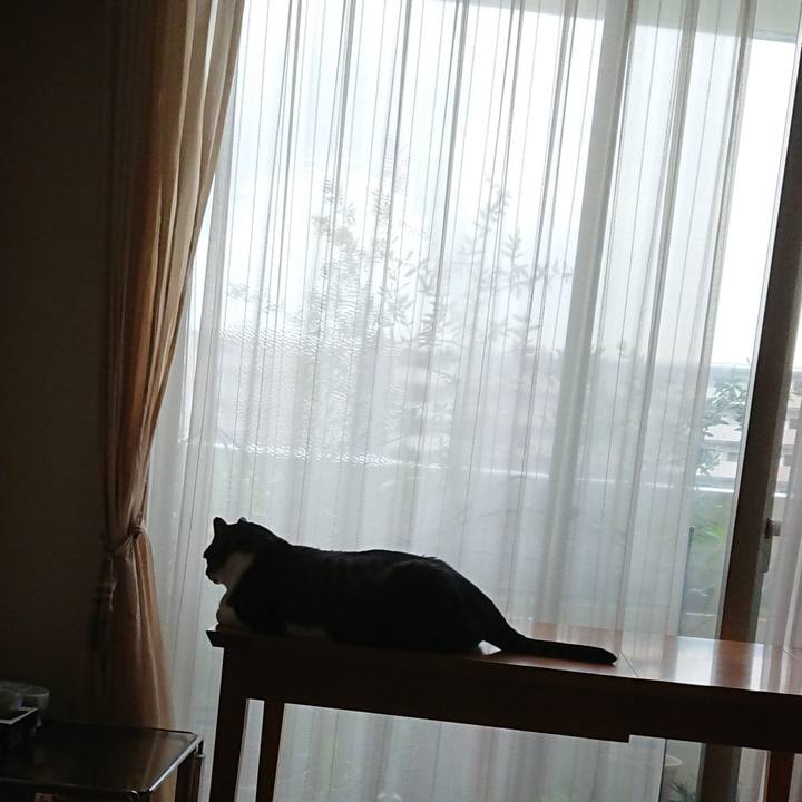 F14cb41d 672d 4837 8c51 19a5b85259c0 1539729413530