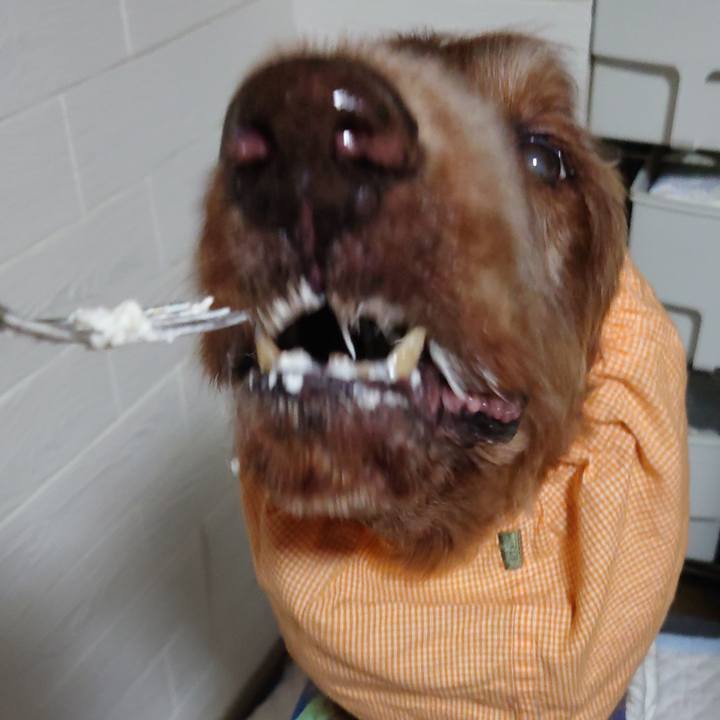 F14ccdc5 ed30 4400 baa5 7c65bf4810fa 1715133594104