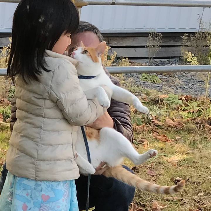 F14cd280 ddd2 47f9 b123 d5606aa4a8d8 1512289036264