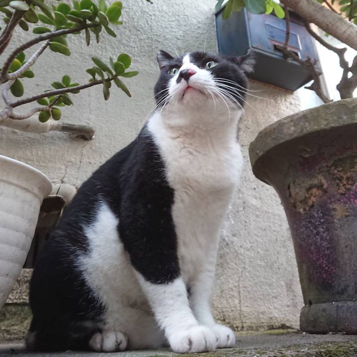 F14cf062 e773 4ca8 a3de 066369b1ccad 1597396205787