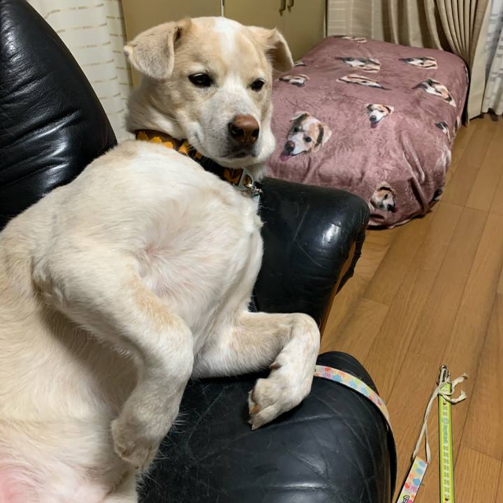 F14d2054 98df 4e7b 9c80 dbc0230bfc61 1609748056728